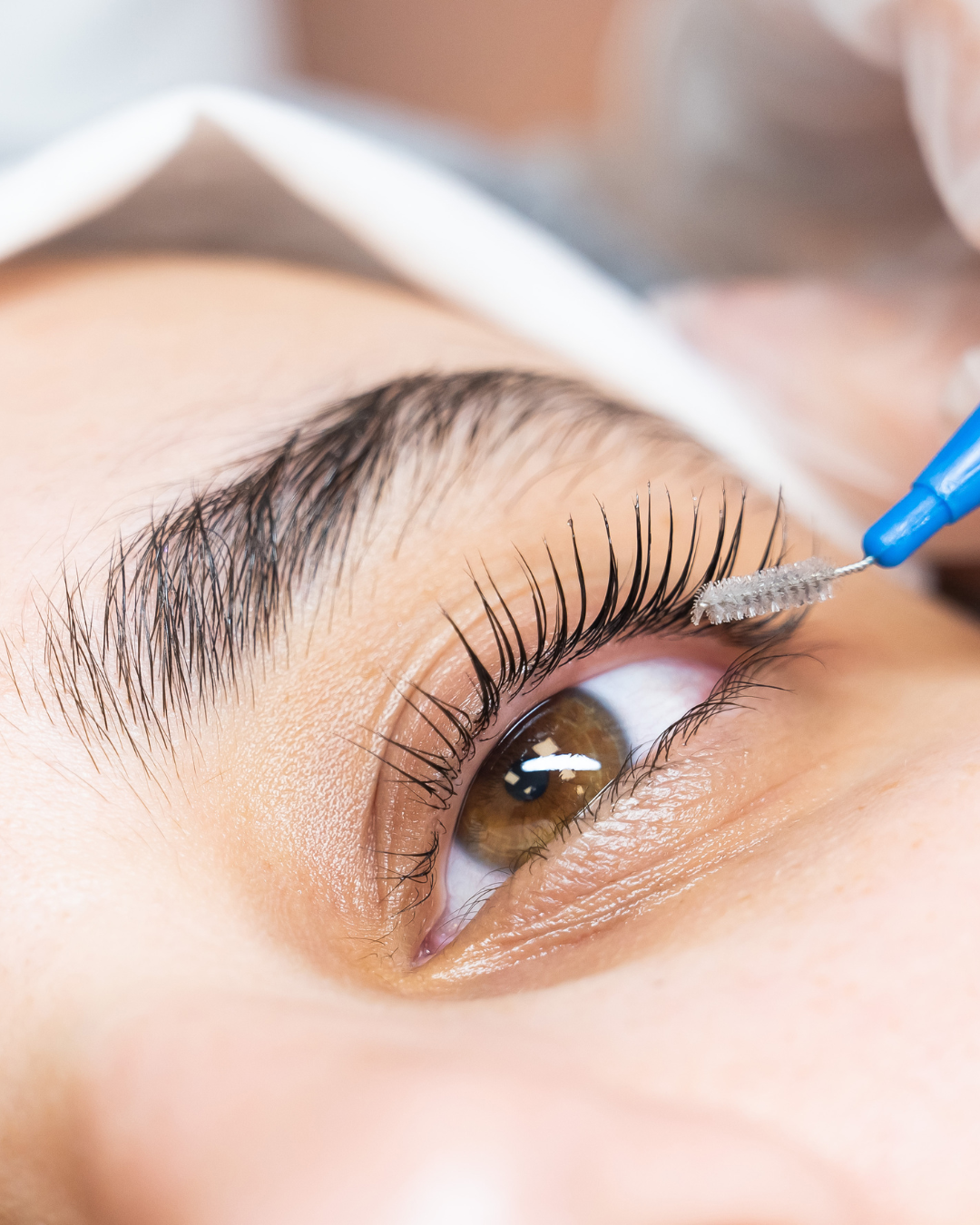 Lash Lift Saved up to $25