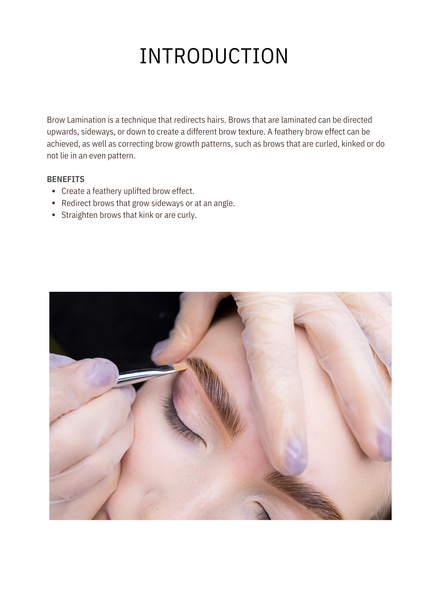 BROWS LAMINATION TRAINING MANUAL