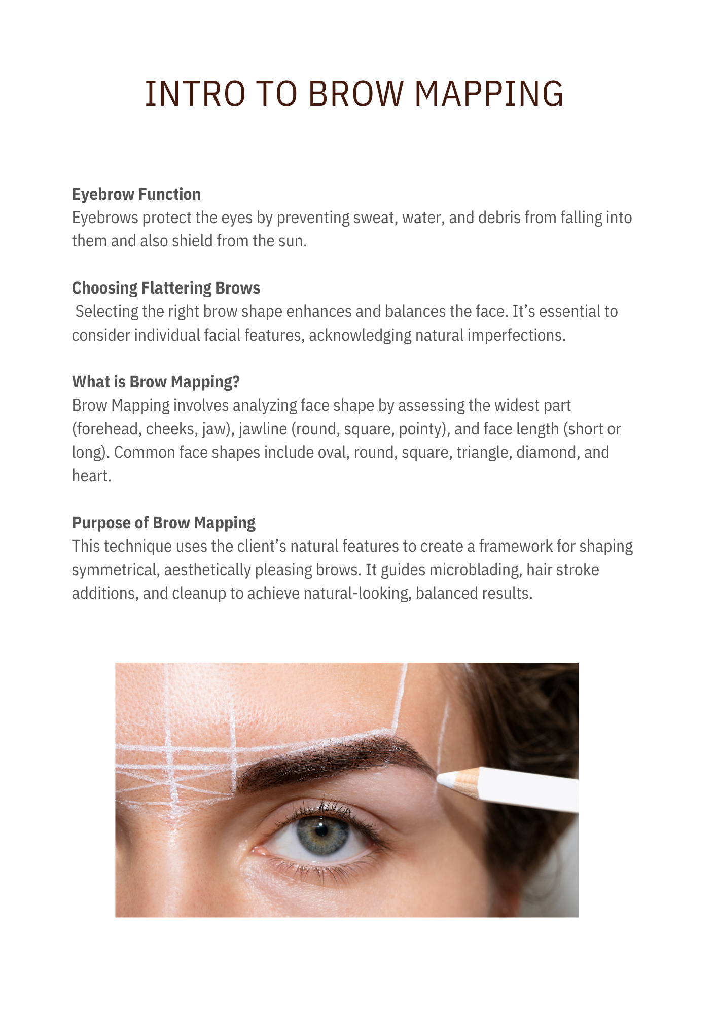 BROWS MAPPING MANUAL EBOOK