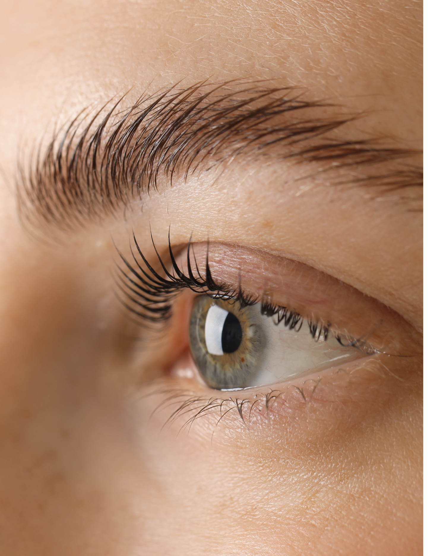 BEST BROWS LAMINATION FOR LESS
